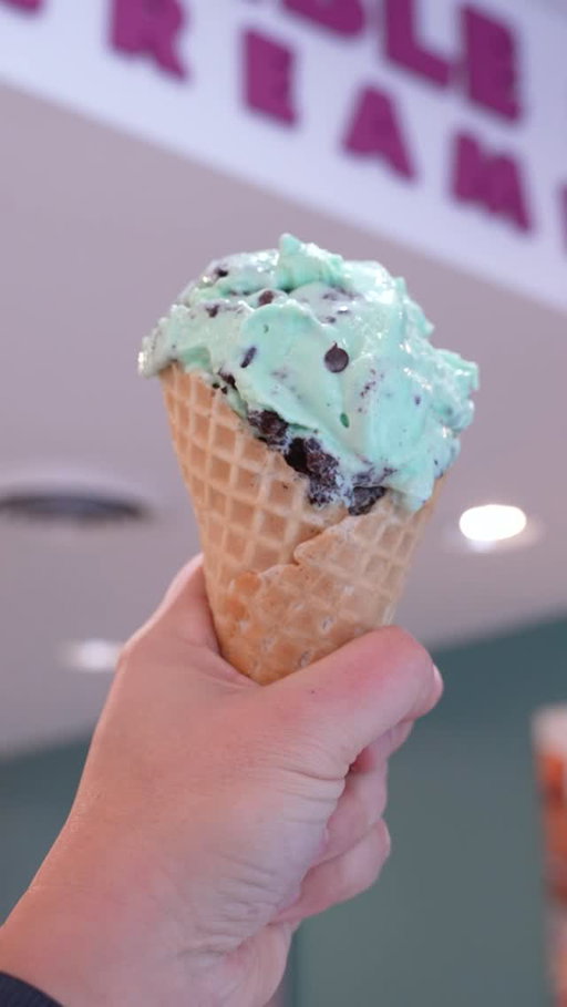 mint ice cream made better with every mix-in 😍🍫 what’s your perfect mix-in combo?