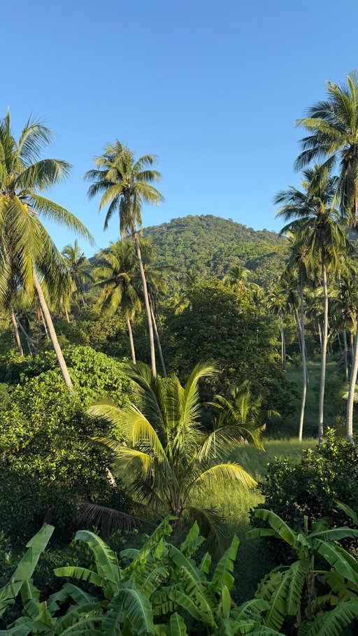 Day 2 posting about my group trip until I find girls who want to travel in 2026 but don’t know where to start💕💫

Hi I’m Austynn :) and I’m hosting my FIRST ever group trip with @worldpackers in Costa Rica🇨🇷🌴🥥 Here’s what you need to know:

When: JULY 19th-26th 2026 Where: Manuel Antonio, Costa Rica🏝️ Spend a week on the coast of one of my favorite countries learning to surf, dancing on the beach, seeing sea turtles, and connecting with nature🧘‍♀️🌞How to book: Click the WhatsApp link in my bio to join the waitlist where I’ll send ALL info🔗💬 Feel free to DM, or comment “pura vida” I’ll make sure to give you the full rundown in messages xx 

#travel #backpacking #volunteer