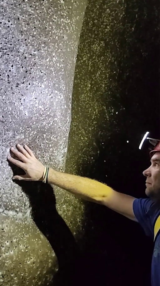 In the Sulfur Cave, located between Albania and Greece, scientists discovered gigantic spider webs home to more than 110,000 spiders. The web is so heavy that it's collapsing at points, only to be reconstructed by the spiders. While most of the world's caves are characterized by food scarcity due to a lack of sunlight, sulfidic caves like this one are rich in food and biodiversity. In this case, biofilms covering the sediment, midges and their aquatic larvae, and the huge spider colony all contribute to a unique and thriving ecosystem.

Discover what scientists are learning about the weird world of spider webs at the link in bio

Video by István Urák, PhD; Blerina Vrenozi, University of Tirana; Serban Sarbu.