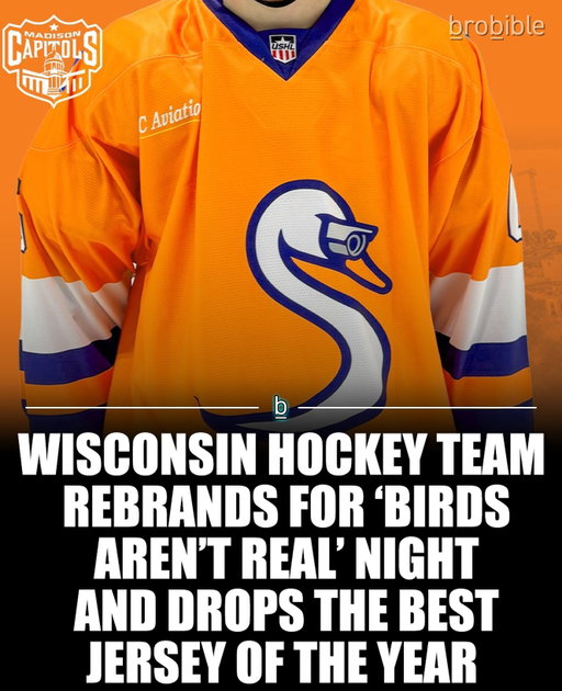 STAY WOKE. THE FLOCK IS WATCHING. 🦢📹

The @madcapshockey squad just dropped the undisputed jersey of the year, and they are finally blowing the lid off the biggest secret in American history: Birds. Aren’t. Real.

@birdsarentreal 

Minor league promos often go off the rails, but this one is a masterpiece. For one night only (tonight, Dec 12), the team is officially rebranding as the Surveillance Swans to take on @waterlooblackhawks 

They went all-in on the aesthetic to honor the legendary satirical movement started by @birdsarentreal. The crest features a majestic swan equipped with a high-tech security camera eye—perfect for monitoring the ice or collecting biometric data on the opposing power play. Honestly, we haven’t seen this much appreciation for tactical surveillance gear since the last Palantir earnings call. 👁️💾

If you want to own a piece of conspiracy history (and look fly while avoiding government drones), the team is holding an auction for 31 game-worn sweaters from tonight’s matchup.
Check the link in bio for the full story and auction details before the feed gets scrubbed.
