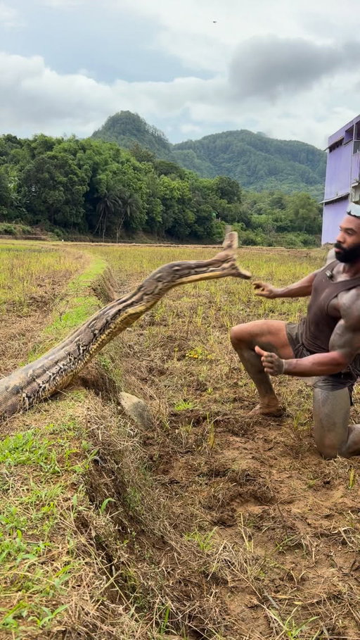 Rate this catch 1-100😮‍💨🐍
Watch the full video in my profile ⬆️