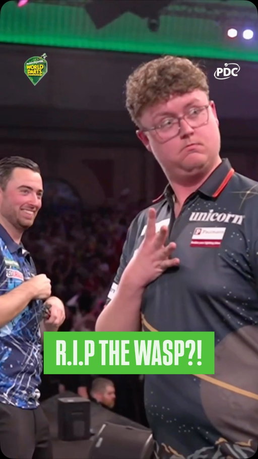 R.I.P THE ALLY WASP?? 😱

Ted Evetts may have finally sent the Ally Pally wasp packing! 😢