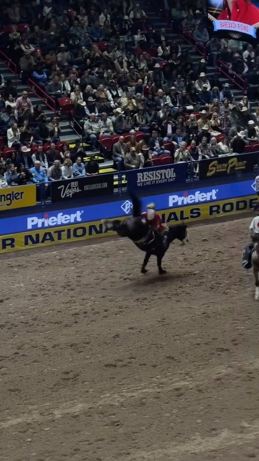 Congratulations to @rocker_steiner for the Bareback World Champion title!🤠🐎 #nfr #barebackriding #rodeo