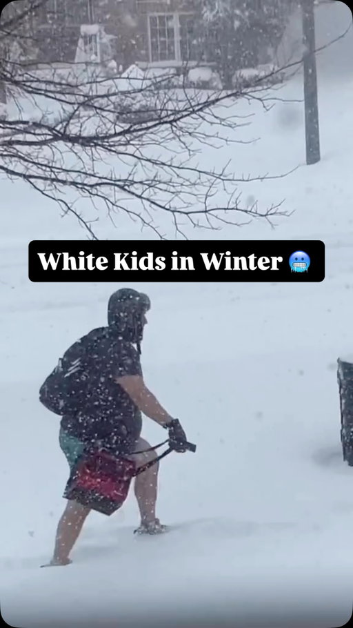 In honour of the massive snowfalls in Canada these past couple of weeks 😂😂😂 Tag someone who does this 🇨🇦