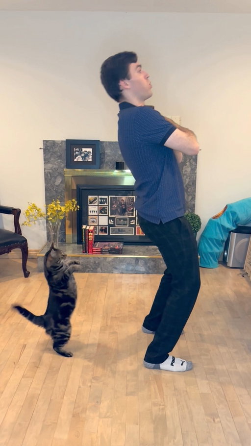How do you entertain your cats? 😆 #boyfriend #boyfriendmemes #relationshipmemes