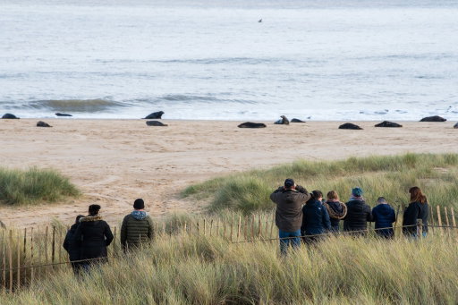 Who says beaches are just for summertime? ❄️

Norfolk’s coastline has its own kind of magic in winter: pastel skies, quiet sandy stretches and those refreshing seaside walks at Winterton, Wells-next-the-Sea, Cromer or Sheringham 🌊✨

Whether you’re wrapping up warm for a breezy stroll or catching a peaceful moment by the water, the coast is just as beautiful this time of year!

#VisitNorfolk #NorfolkCoast #WinterInNorfolk #NorfolkBeaches #CoastalWalks #WinterEscape #EastOfEngland