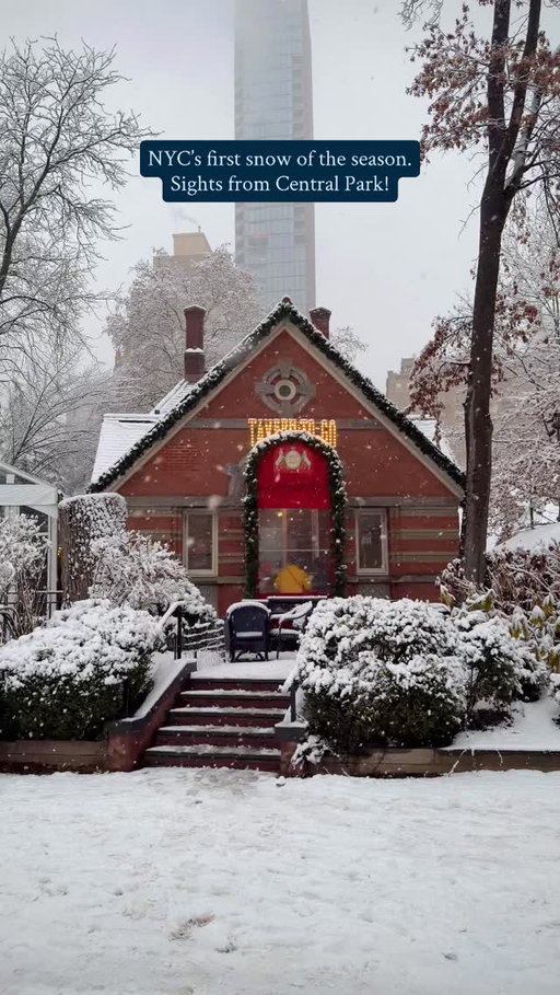 First snowfall of the year in New York City! Spent about five hours in Central Park watching everyone have so much fun, especially all the pups. Truly such an incredible sight to see! ❄️

#nyc #newyork #newyorkcity #centralpark #centralparksnow #nycchristmas #snow #snowing #snowday #winter #winterseason #wintertravel #travel