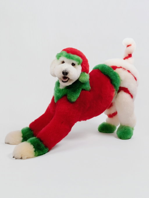 Edea as a Christmas Elf for @glowupthepup Ep 2

📸 by @renattoathayde 

#christmas #cutedog #doggrooming