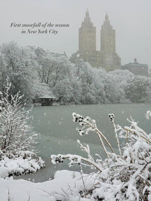 Some captures from New York City’s first snowfall in beautiful Central Park! ❄️🥹🐕☃️🌨️

#nyc #newyork #newyorkcity #newyorksnow #centralpark #centralparknyc #centralparksnow #snowday #snowy #winter #travel #igtravel #snow