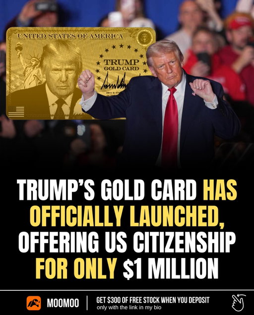 President Trump launched the Gold Card visa program on December 10, granting permanent residency and citizenship path for $1 million individual contributions.
⠀
The site trumpcard.gov processes applications with $15,000 fees, targeting high-net-worth talent amid immigration reforms.
⠀
Corporate versions cost $2 million per employee, aiming to attract innovators while funding national priorities.