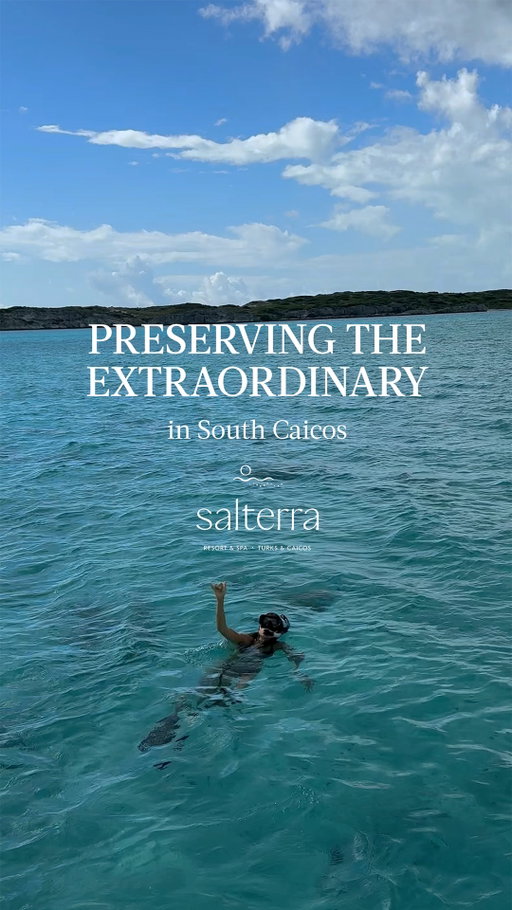 In #SouthCaicos, @condimentclaire discovers @salterraresort's commitment to preservation—from partnering with local fishermen to supporting coral reef protection and island-wide beach cleanups. Here, sustainability is woven into every experience, inspiring guests to appreciate and protect the natural world around them.