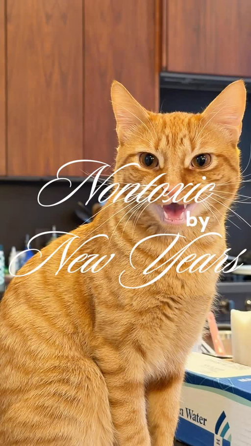 ☃️Next up in the Nontoxic by New Years series, we’re going into the heart of the home: the kitchen. Comment “kitchen” and I’ll send you all the links. Big wins here are getting rid of the plastic utensils, nonstick cookware, and getting a good water filter. Also, yes these swaps can be expensive, but you can also find incredibly inexpensive and great quality cookware and glass at thrift stores! 
.
.
.
.
.
#nontoxiclifestyle #wellness #cleanhome #nontoxicbynewyears #nontoxickitchen
