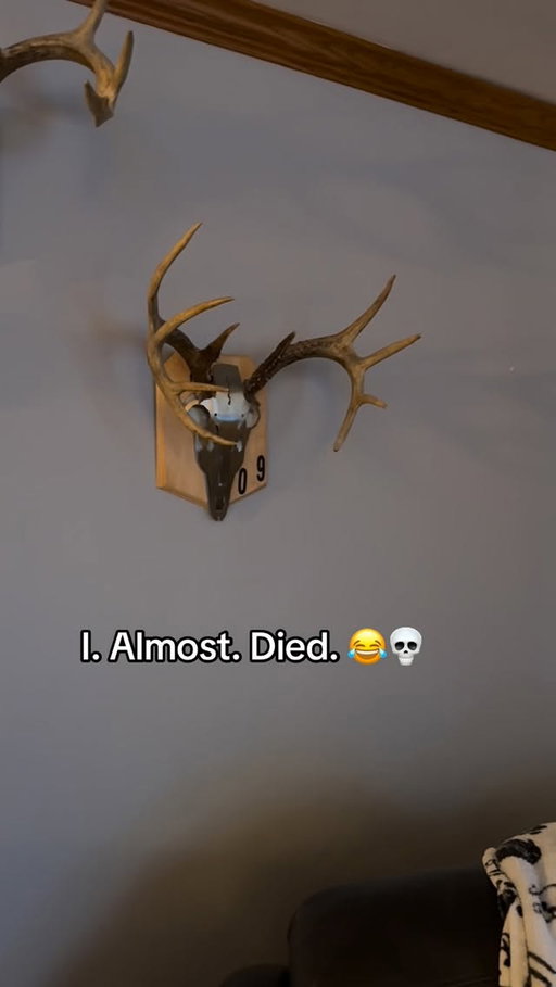 The things he comes up with. 😂🤦🏻‍♀️💀🦌 @graybilljesse247 #hunter #rudolph #deermeat #fyp #christmas