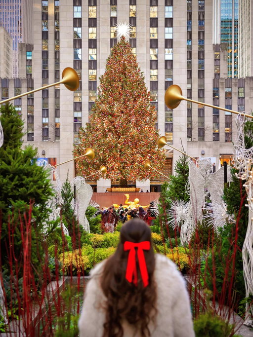 Christmas beauty in New York City! 🥹🎅🏼🎄📸

#nyc #nycchristmas #newyork #newyorkcity #newyorkchristmas #rockerfellercenter #christmas #holidays #christmastree #nyctravel #travel #photographer