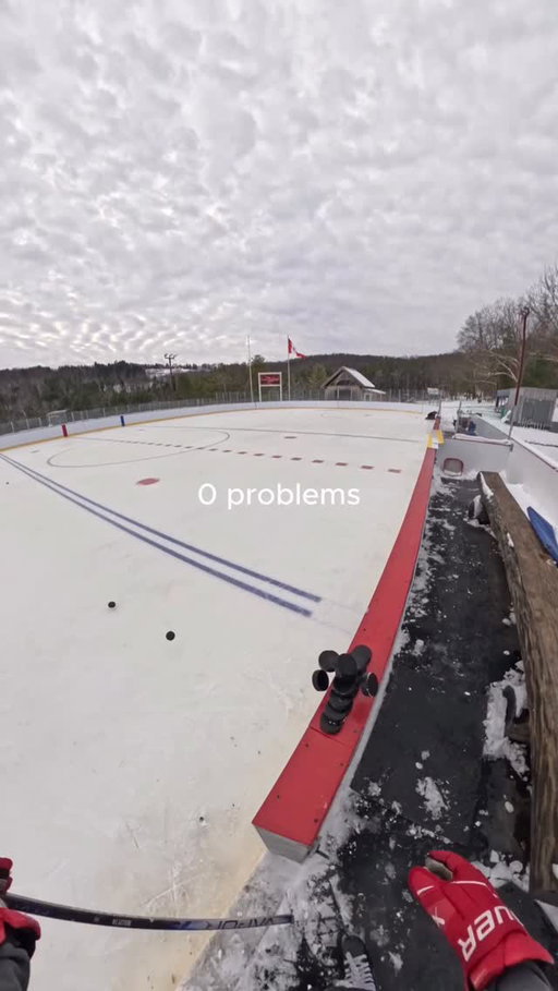 Is there anything better than this ?😍🏒