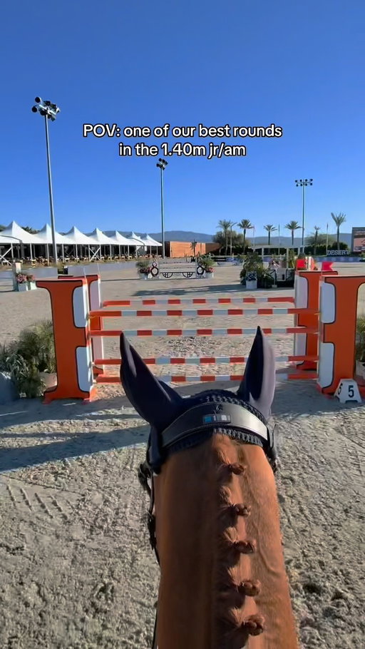Ruby the rocket doing what he does best 🧡 he jumped the moon for me & I truly believe he had as much fun as I did!! Chatting with him through the course keeps us connected & helps my nervous system stay calm. We just had one down at fence 6 (our “up in 6” was a little too up hehe) but otherwise as clean as a crystal! I am so proud of Ruby & I’s progress over this last year & I am forever grateful for our evergrowing partnership 💛🙏🏼

#equestrian #horselover #equestriansofinstagram #equestrianlife #horsesofinstagram #equestrianstyle #horseshow #horsejumping #showjumping #povride @voltairedesignusa_can