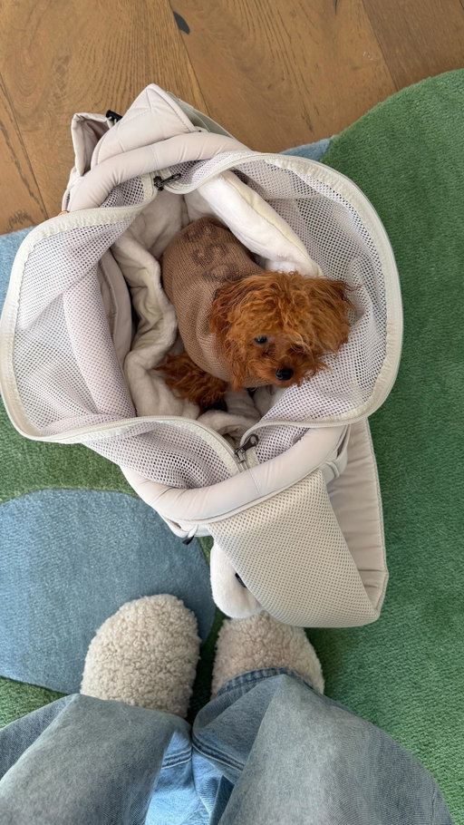 The full unboxing + playpen setup is in my YouTube vlog 🐶