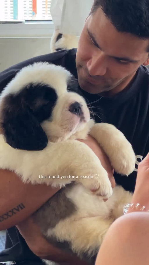 You don’t know love until you try puppy yoga 🥹

Did you know that Puppy Sphere Class Packs are an easy and affordable way to keep coming back for that dose of puppy love? 

With these discounted ticket bundles, you can be ready for whenever you need the ultimate mood boost 💌

🔗 Visit the link in our bio to learn more!

#classpacks #classpass #puppyyoga #puppysphere #puppylove