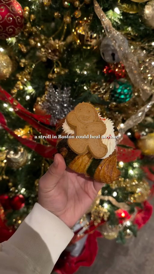 Boston in December is truly magical 🤍Do you agree? 🥹
#cornersofboston