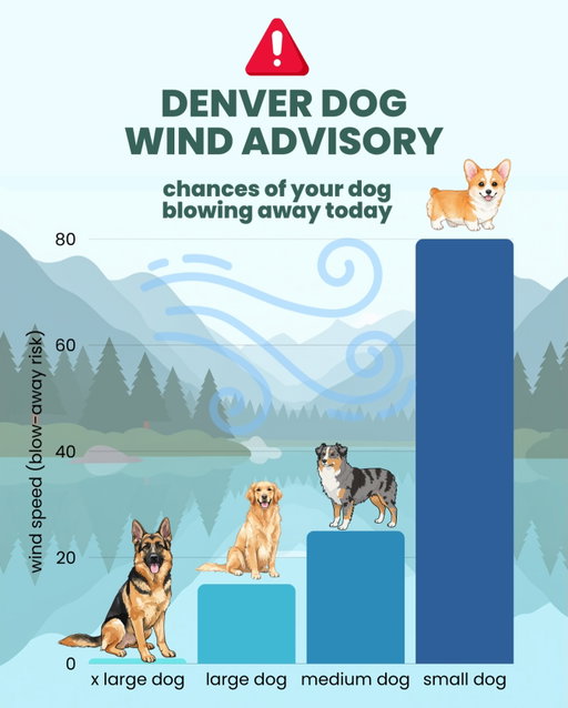 this is 100% made up but also it’s colorado so who knows? Godspeed to the littles today 🫡 Stay safe out there! Make sure all fences + gates are locked shut 🐶

#denver #colorado #coloradolife