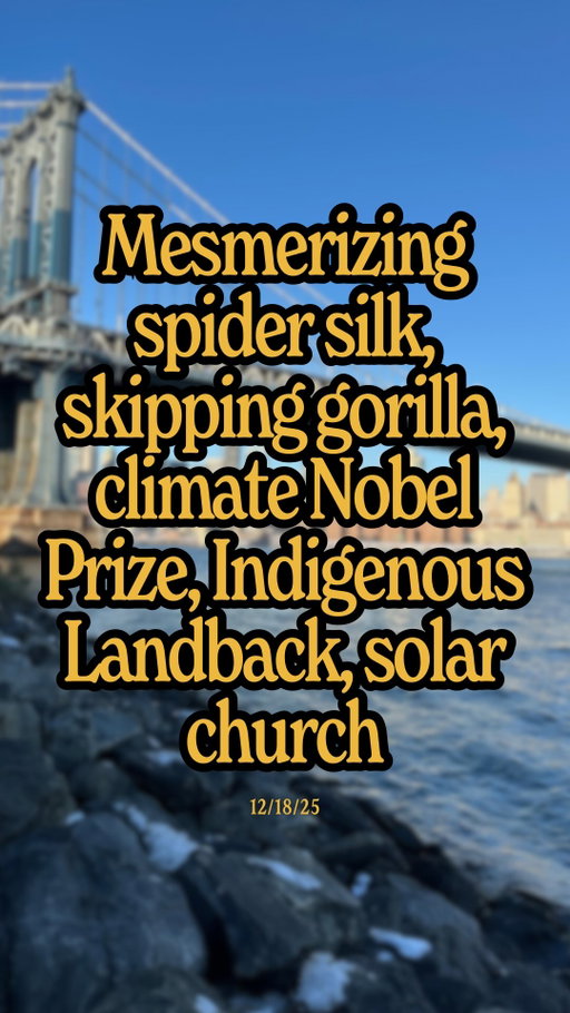 The most amazing spider silk photo you’ve ever seen, skipping gorilla wins comedy photo of the year, climate Nobel Prize proposal, 900 acres of Indigenous landback near Yosemite, switching church to solar power…

How are you making the planet better?