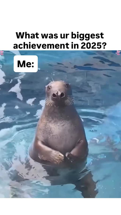 😅😅😅