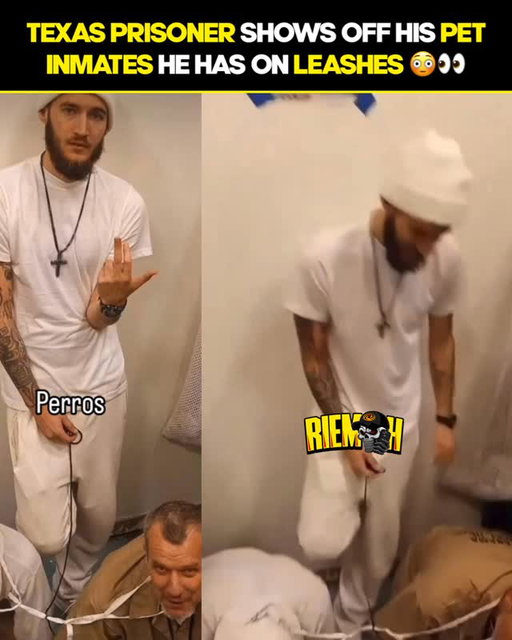#Texas prisoner seen chilling with his pet inmates while in his cell 👀