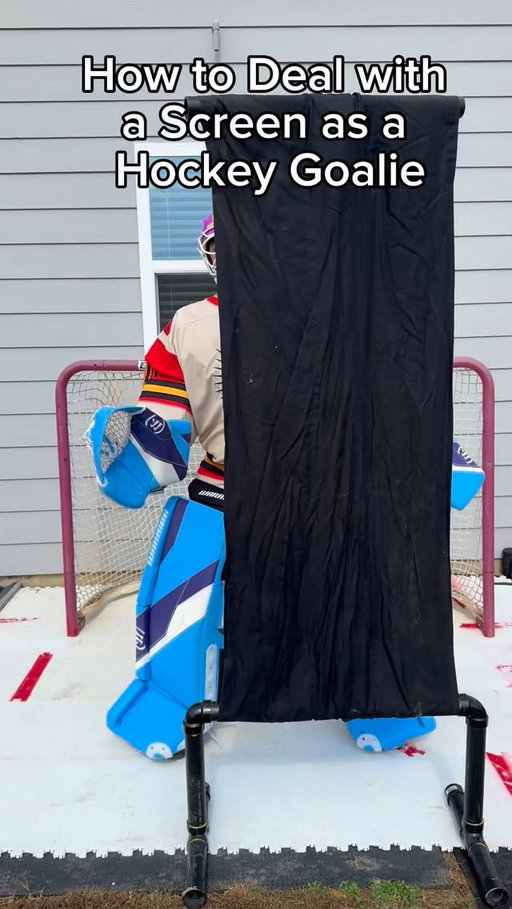 The best way to handle a screen in hockey!