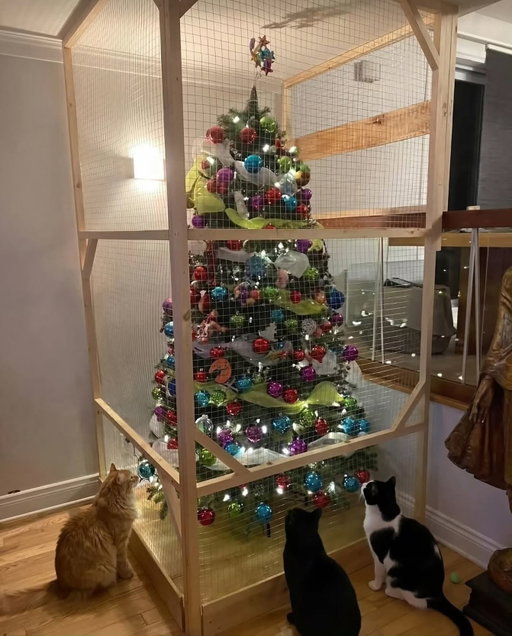 “This house is a prison” 😾🎄