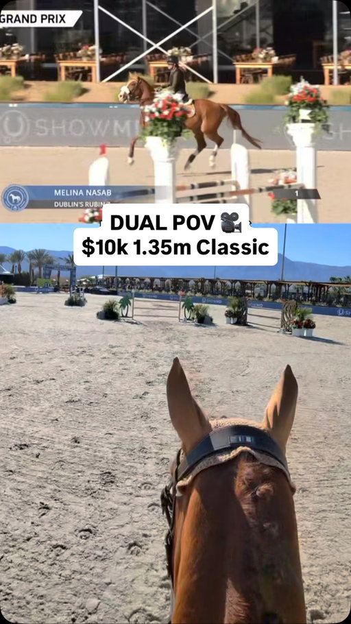 one of my favorite rounds ever because it was pure FUN for the both of us!! Clean, relaxed(ish), and on the flow 🥰 Ruby loooves to go fast & I kinda just let him thrive in his zone while whoahing him where I had to to get to the jumps safely 💛 we finished 6th after the jump-off & I am just so beyond proud of him. My little red pocket rocket 🚀

@voltairedesignusa_can @psofsweden @kathrynlilyeq @freejumpsystem 

#equestrian #showjumping #equestrianstyle #horsejumping #horseshow