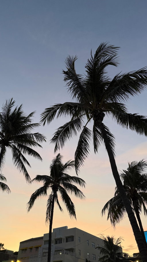 save this for your next trip to MIAMI👇🏽

day 1
• fresh juice or matcha at @joeandthejuice 
• @puravidamiami for an incredible smoothie or bowl
• walk ocean drive + people watch
• beach day at miami beach
• sunset drink at nikki beach or watr rooftop @1hotel.southbeach 

day 2
• rent a citibike + bike the beach path
• cuban sandwich at havana vieja (trust me)
• millionaire boat tour at bayside
• sunset + dinner at joia beach (only beachfront restaurant in miami) @joiabeach 

day 3
• brunch / shopping in brickell city centre
• coconut grove stroll
•bagel stop at @elbagel 
•followed by organic farmers market at 10am (sat only)
• night at @uchirestaurants uchi miami: lychee martini, spicy tuna roll, zero sen roll, hot rock + shishito peppers

day 4
• slow beach morning
• last minute shopping
• one final ocean walk before heading home

extra recos:
mandolin aegan bistro, south pointe park at sunrise, design district if you love aesthetics

save this for your next miami trip 🌴✨

#miami #itinerary #miamitravel