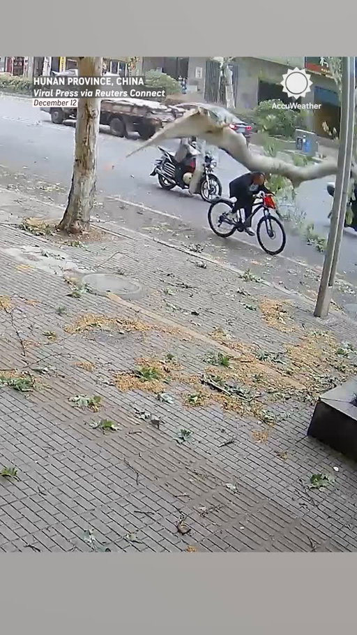 A cyclist was injured when a tree branch snapped and fell on top of him. The city says the branch broke from strong winds. The man was injured, but is recovering.