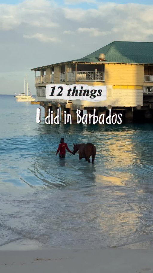 Save this for your next Barbados trip...🍹🇧🇧🌴

#barbados #travel #barbados🇧🇧 #explore #holiday