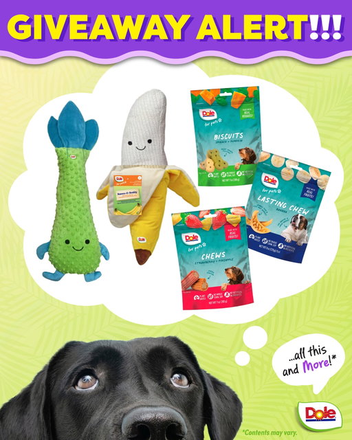 📣GIVEAWAY ALERT! 
🎉We’re celebrating the holiday season with 3 giveaways, with a new one launching every 48 hrs! Each Giveaway will have 2 winners 🤩

Giveaway 1: Pets! 🐾

Comment on this post with your pet's favorite 🍍Dole fruit treat🍌 to be entered for a chance to win 1 of 2 Dole Pets prize packs featuring pet treats and toys from @petspluspeople . 

**Disclaimer** Open to US. This giveaway is in no way associated with Facebook or Instagram. Winners will have 48 hrs from the time of the winning direct message is sent to respond to claim their prize. Prize box contents will vary. Please allow 2-3 weeks for prize delivery. Must provide a physical address; prizes cannot ship to P.O boxes.

 #Giveaway #prizes #entertowin #holidayseason #holiday #Holidays #fruits #petsagram #pets #pet #dog #petsofinstagram