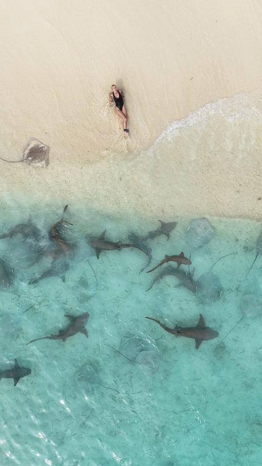 Connection begins with respect 🦈  Another unforgettable experience 🙏🏻 @shadowpalmmaldives @maldives.friends 
#freediving #maafushi #shark #stingrays #ocean