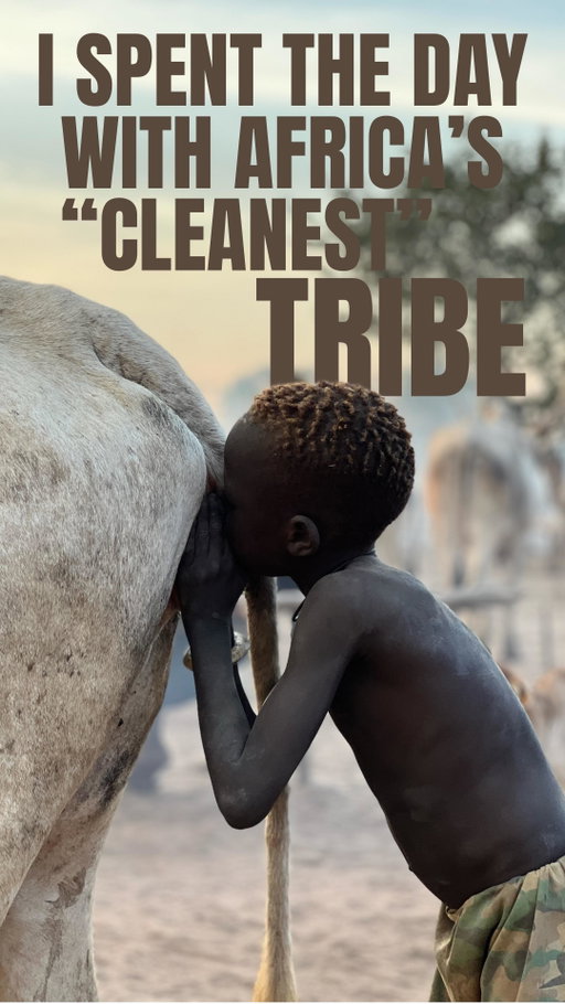 Educational documentary content explaining a traditional cultural practice in Africa. Filmed respectfully with community consent. No exploitation or harm is shown.

🇸🇸 Meet the Mundari from South Sudan, one of the tallest ethnic groups on the planet and one of the most fascinating tribes in Africa in my opinion. They are obsessed with their cows which are central to their life/culture and cleanliness is extremely important to them. EVERYDAY they bathe in cow urine because it acts as an antiseptic keeping them clean from diseases and bacteria. They even add it to their milk to keep it bacteria free and it is said to taste better. They also rub dried burnt cow dung on their faces and bodies to protect their skin from the sun and mosquitoes. I got the lucky chance to visit one of their cattle camps and was blown away. I felt like I only scratched the surface so if you want to see more on the Mundari let me know in the comments 👀 

#travel #viral #travelgram #backpacking #travelling #instatravel #traveler #travelblogger #traveling #southsudan #southsudanese #sudan #sudanese #juba #mundari #africa #african #tribe #dnzhtravels