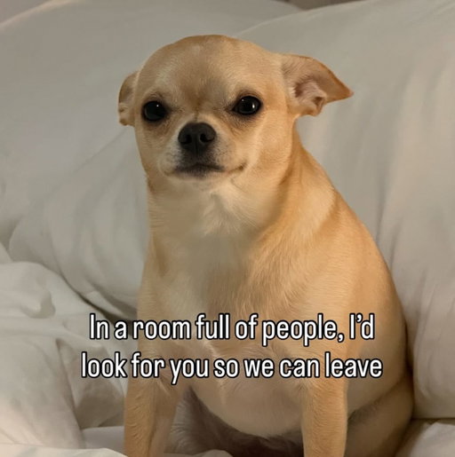 @honeyythechi

Follow @emotionalclub for more