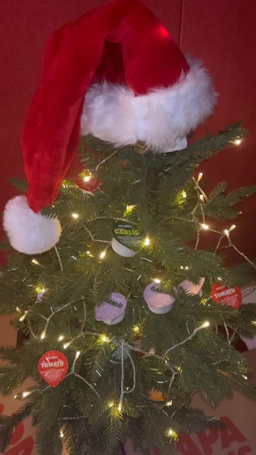 Oh Christmas tree, oh Christmas tree, how lovely are your sauces 🎄🍕