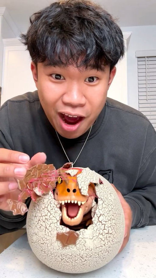 DINO HATCHING TOY 🦖