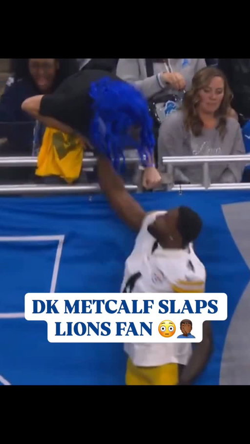 DK Metcalf swings on Lions fan🤦🏾‍♂️ How much will this fine be ? 😂 Bro crazy 
.
.
#aaronrodgers #dkmetcalf #lions #steelers #jaredgoff