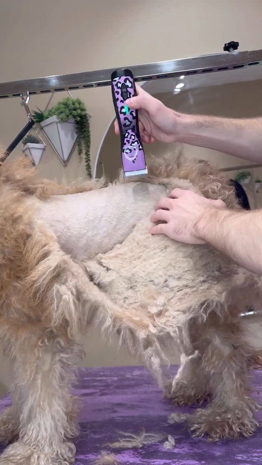 It came off in one piece !
.
#dogs #doggrooming