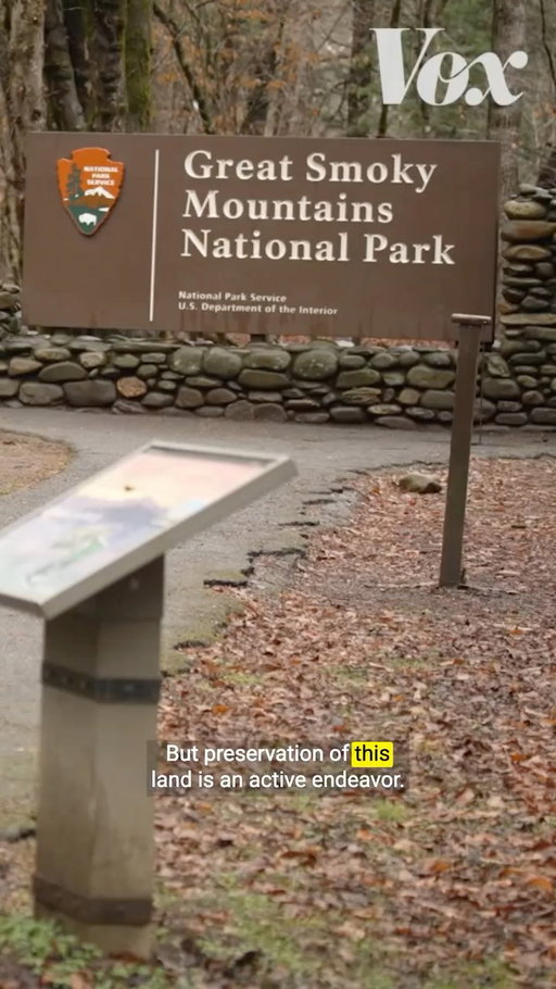 The Great Smoky Mountains are famous for their blue smoke, but to truly appreciate them, you have to take a look for yourself and go beyond the haze.

Vox traveled to the Smokies to explore how these mountains get their iconic blue, hazy effect and how the Cherokee people, whose presence in the region dates back thousands of years, are connected to one of the country’s most impressive national parks. 

Presented by @visitnc.