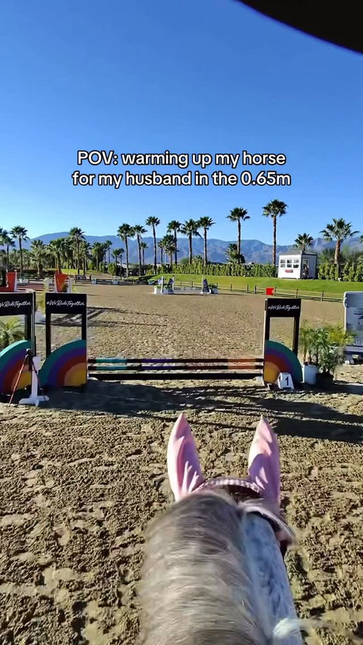 he just needed to get his vinegar out 😅 it’s been a while since I brought King to the show ring 🥹 he was a perfect angel all week though (even through his excitement episodes) and Max learned SO much every day! King honestly is not a “beginner horse” but he’s the only one I’ve got for Max to learn on and they’ve been so great together. Max is really having to ride the course & can’t just be a passenger even at his level, which is for the best anyways! 

I love King so so much 🩷

#equestrian #equestriansofinstagram #showjumping #horseshow #povride