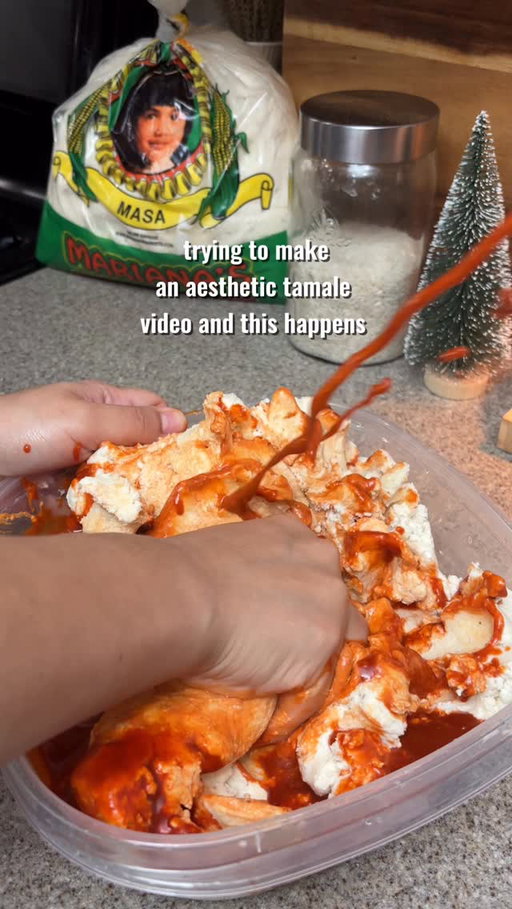 like what was happening 😅 haha anyway, tamales recipe is on my page 🫔 

#tamaleseason #explore #recetasmexicanas #homemadetamales #mexicanrecipes