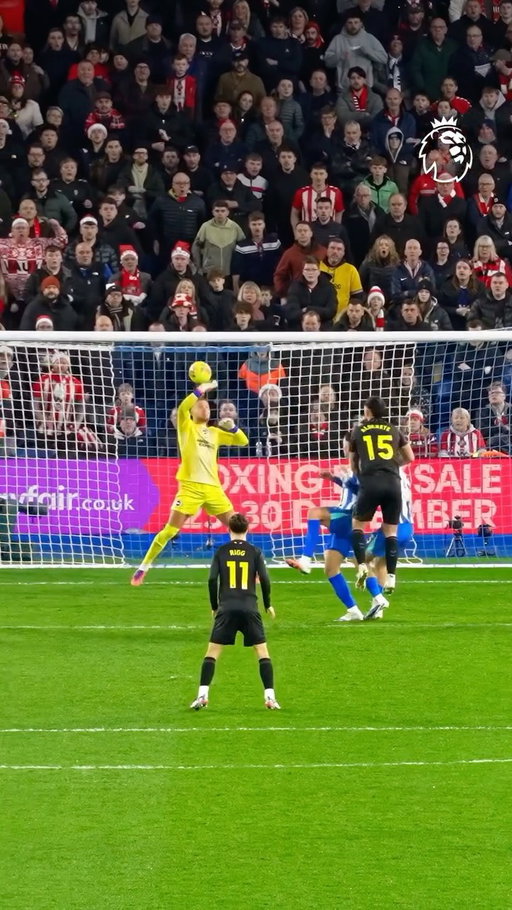 Bart Verbruggen’s stunning save for @officialbhafc against Sunderland 😮‍💨