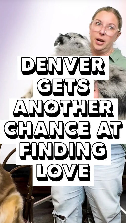 Hey Denver, we know @netflix really dropped the ball on @loveisblindnetflix S9. So, as a special holiday gift to you, we’ve decided to recast and recreate the entire season.

How does this lineup look? Tell us your favorite suitors and which Denver stereotypes we’re missing in the comments below.

#denver #denvercolorado #loveisblindseason9 

🎥: @lefthandrightbrain 
🌟: @lefthandrightbrain @maascomedy @jennsuthy @big_bad_becerril @mollybirdsmith @mokavida mallorygallery @garrett.nygren @econ_comic