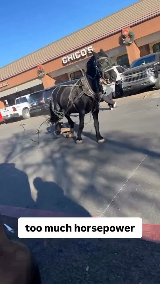 Hold your horses 

Via @entxuncutt