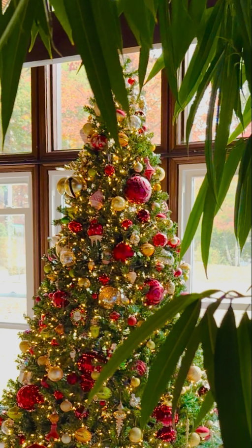 Sending love and prayers this holiday season to those navigating grief. Grief never truly leaves us, but with faith, we learn to live, thrive, and find joy in ways that honor the ones we love and miss.

We miss you always, Butter 🎄🧈

#HolidayRemembrance #GriefAndGrace #ForeverInOurHearts #RememberingLovedOnes #InMemory♥️