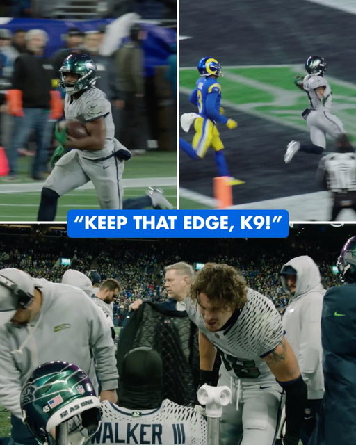 K9’s longest run of the year 😤

📺: Watch All-Access presented by @ticketmaster on Seahawks YouTube. 

Re-watch the game on NFL+. Link in bio.