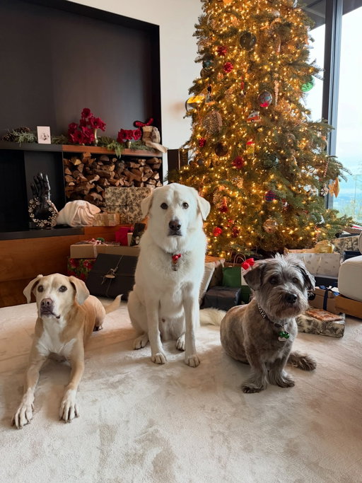 Sending you ALL the love ❤️
Happy holidays! 🎄🎁🐾
